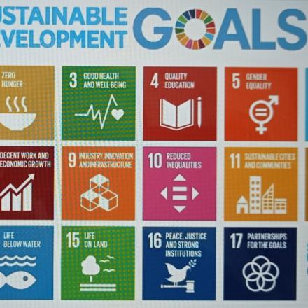 SDGs (Sustainable Development Goals) 